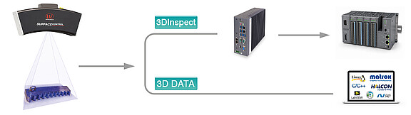完整 3D 資料的彈性處理